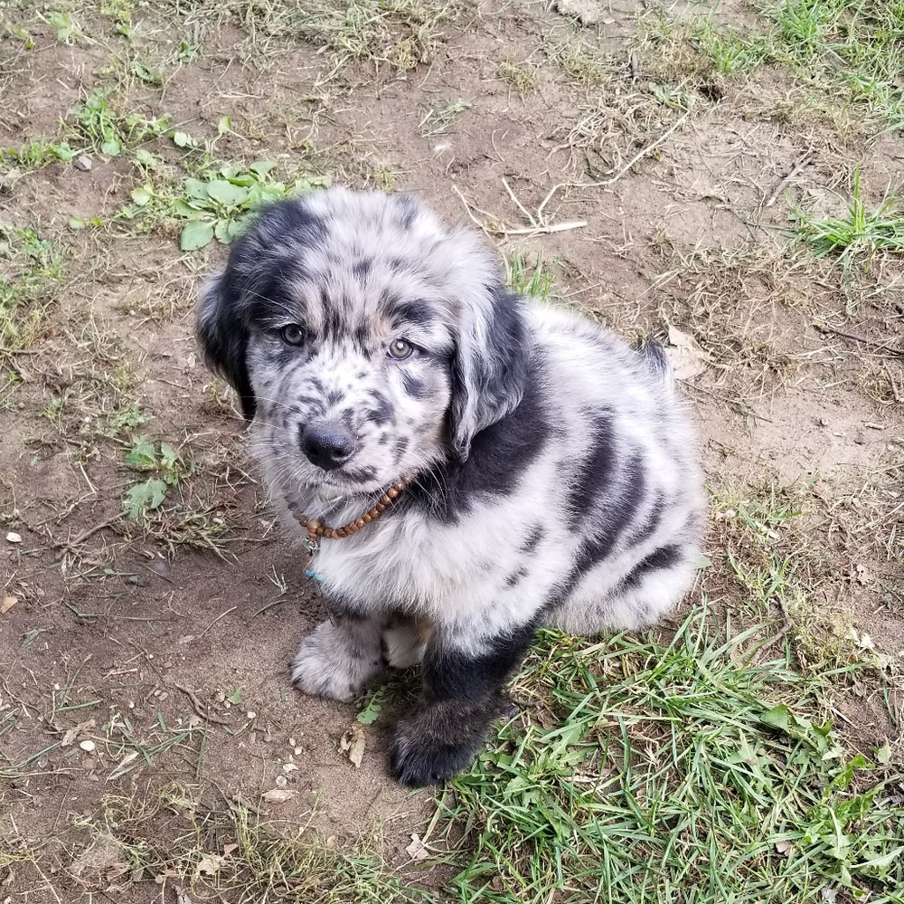 Meet your Posher, Aloha Brunch - Picture 5 of 8